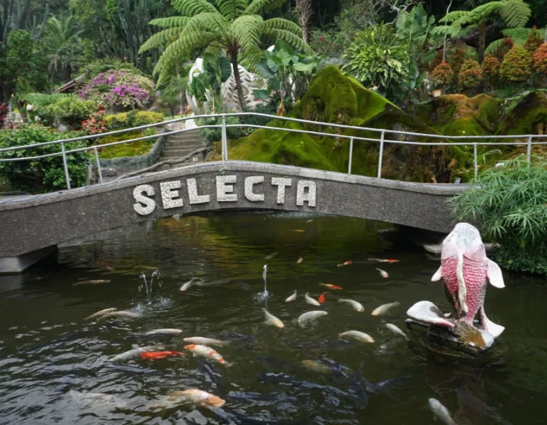 THE 15 BEST THINGS TO DO IN BATU 2026 visual data 3